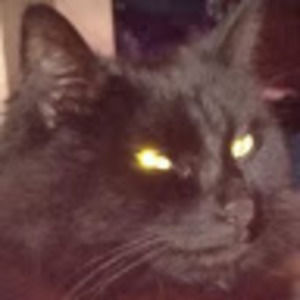 Meet your Posher, Betty